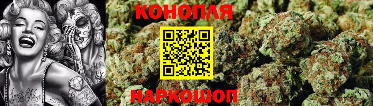 Канабис MAZAR Ковров